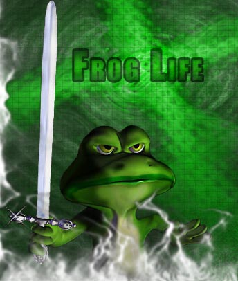 http://www.gameogre.com/reviewdirectory/upload/Frog%20Life.jpg