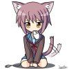 cute_neko.jpg