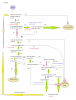 flowchart_hunting.png