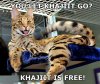 d3f81f5f1e0713b438b46480c1eee9e5--savannah-cats-domestic-cat.jpg
