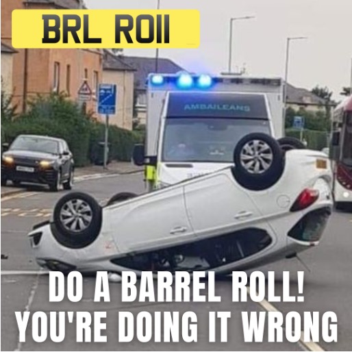 Do a Barrel Roll  Barrel roll, Youre doing it wrong, Funny meme pictures